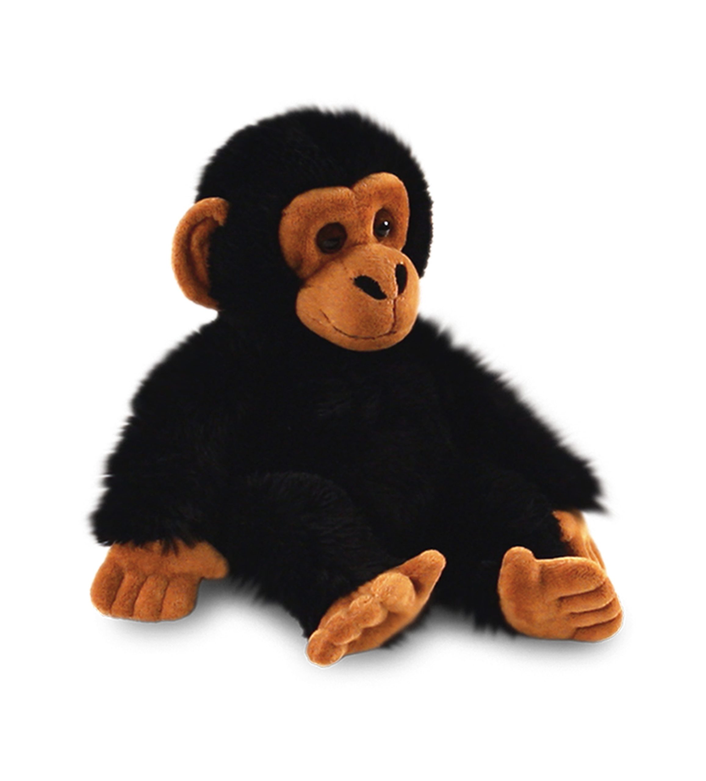 Chimp Teddy 